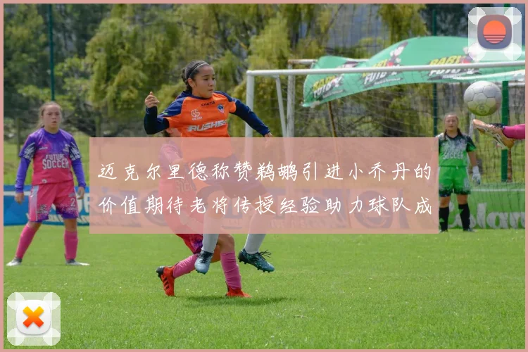 迈克尔里德称赞鹈鹕引进小乔丹的价值期待老将传授经验助力球队成长
